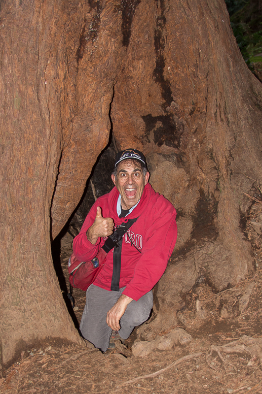 Muir Woods